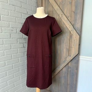 NWT Loft ruffle neck shift dress. Size 4 Tall